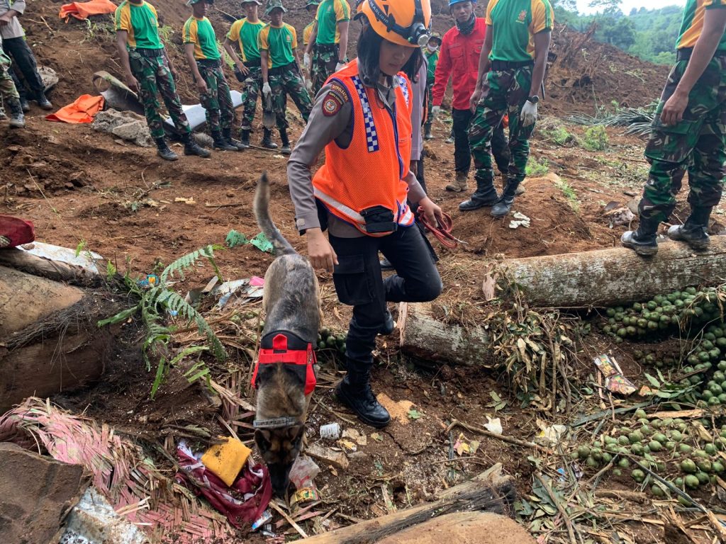 Polwan K9 Terjang Longsor Cari Korban Gempa Cianjur