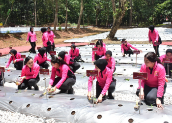 Pekarangan Pangan Lestari Akpol Semarang