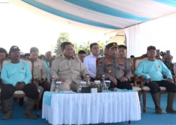 Panen Raya Jagung Kuartal II 2025